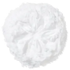 MSM (Methylsulfonylmethane)