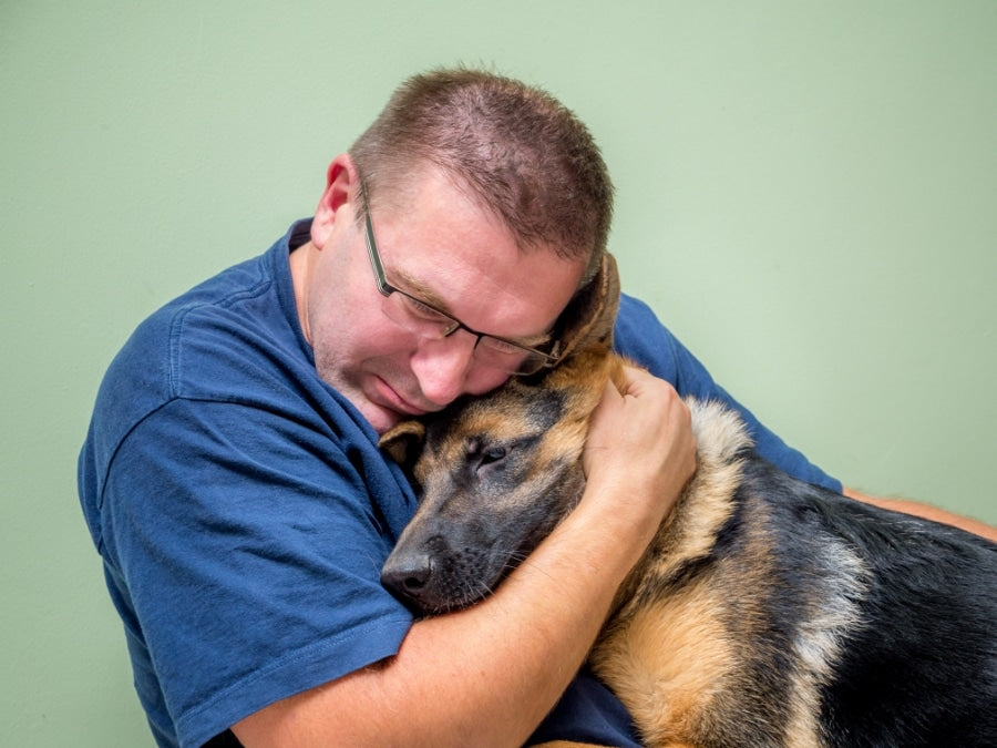 Facing Your Dog's Cancer Diagnosis