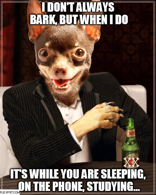 i-dont-always-bar