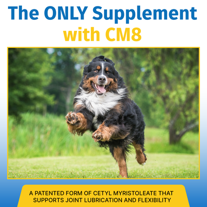 Flexpet with CM8 - Regular Strength 60 count | Subscription