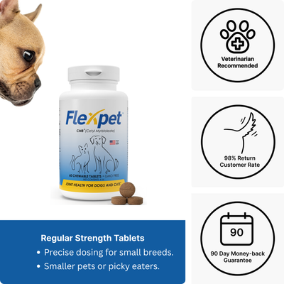 Advanced Hip & Joint Support with CM8™ - Regular Strength | One-Time